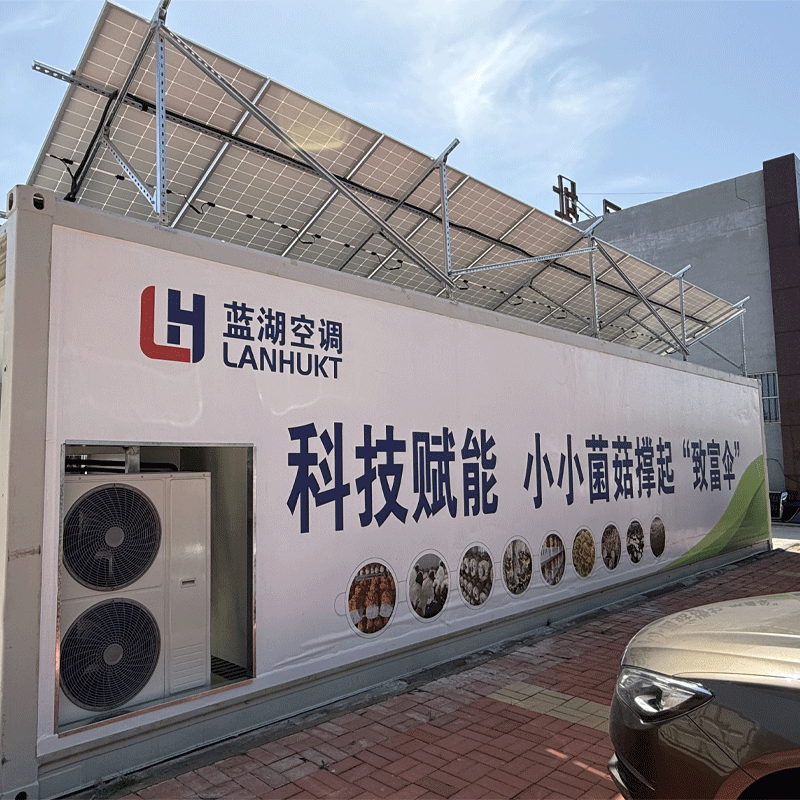 科技賦能，智能菌菇方艙種出“黃金耳”